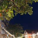 뉴서울이발관 이미지