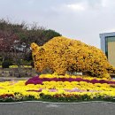 영암기찬랜드 이미지