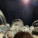 아라리오 뮤지엄 탑동 시네마 이미지