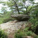 매리버스