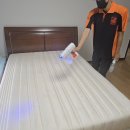뽀얀세탁 | 침대 매트리스청소, 통인익스프레스 통인뽀얀닷컴 특허 프리미엄 케어 솔직후기!