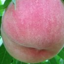 고죽1리 이미지