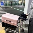 신나요 도서관 | 뉴욕여행 Day 1 (공항, 타임스퀘어, 록펠러센터 야경)
