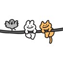 라라(LaLa)에스테틱 이미지