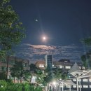 동산고매점
