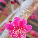 황제1공인중개사사무소 이미지