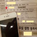 아이폰7 무한사과 찾아야하는 데이터가 있다면? 이미지