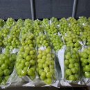 은총농장 이미지