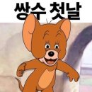 자연 | 만족도 최상 내돈내산 매몰(자연유착) 쌍수 후기