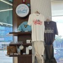 양덕동189 | 『포항 카페』 내돈내산, 양덕동 공부하기 좋은 카페📚 파란만잔 _내부, 굿즈