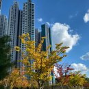 화서역파크푸르지오부동산중개 | 화서역파크푸르지오단지내 25평형매매거래