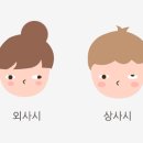 보로상사