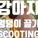 애니컴 메디컬센터 이미지