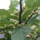 창우농장 이미지