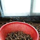 우남농장 이미지