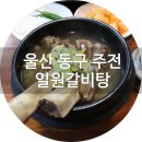 울산 동구 주전 갈비탕 맛집 :: 일원갈비탕