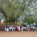 스리랑카 사찰의 모습 이미지