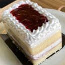 카페79 - 군포시 번영로200번길 23 | 합정 카페 79파운야드 후기 (인테리어 예쁜 카페/디저트)