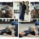 동인동물병원 이미지