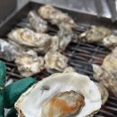 2024 천북 굴축제 | [보령] 2025 천북 굴단지 굴축제 후기 및 맛집 추천