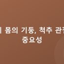 지혜로운건강생활