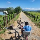 창녕우포곤충나라 이미지