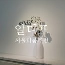 한국티스페셜리스트협회