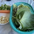 동백아나고 이미지