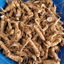 황정농장 이미지