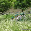 새청주유치원 이미지