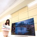 (주)월드전자 이미지