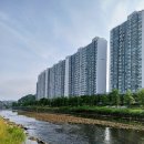 새벽시장 이미지