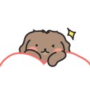 [야간] 다이어트 요가 이미지