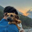 피아프스테이 이미지