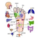 발은 제2의 심장 발 건강 마사지법 이미지