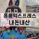 영문 | 내돈내산 29주차 임산부 홍콩익스프레스항공 후기 (영문소견서필수!!)