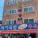 머슴국밥 | 부산/ 영진돼지국밥 본점 부산 현지인맛집 맛집추천 부산여행 내돈내산 솔직후기(수육백반)