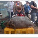 독도바다낚시터 이미지