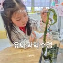 31140-5-22-6 | 와이키즈 용인죽전 유아과학수업 체험수업 후기 5세 6세 수업료