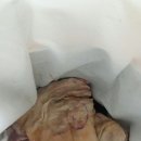 홍천염소농장 이미지