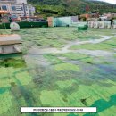 진영농협건물 이미지