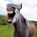 베스트주유소 이미지