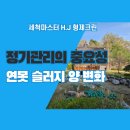 크린환경사료 | 세종 연못청소, 1년 관리 후 달라진 수질상태, 정기 관리의 중요성 : 형제크린
