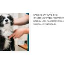 원평동물병원 이미지
