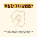 홍반