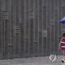 소나기성인용품 이미지