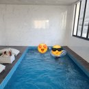 미아니아 | 포항 미아니아 오션뷰 독채풀빌라 온수수영장 스파 즐기기♡내돈내산 솔직후기