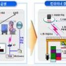 동부부산컨테이너터미널 이미지
