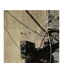 용호농장 이미지