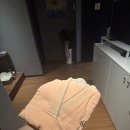 짬아로마 네이버블로그
